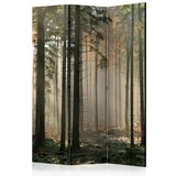 Paravan u 3 dijela - Foggy November morning [Room Dividers] 135x172 Cijene