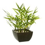 Atmosphera umjetna biljka u saksiji bambus H35CM | Eponuda.ba