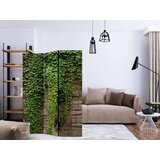  Paravan u 3 dijela - Ivy wall [Room Dividers] 135x172 | shoptok.hr