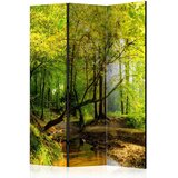 Artgeist PARAVAN 135/172/3 cm zelena, svetlo rjava Slike