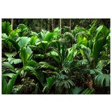  Tapeta - Freshness of the Jungle 400x280 | shoptok.hr
