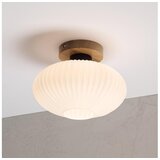 Plafonsko svetlo HARMA WOOD 1xE27/15W/230V hrast/bela prečnik 25 cm | Eponuda.com