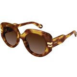 Chloe CH0257S 002 ONE SIZE (52) Havana/Rjava Cene