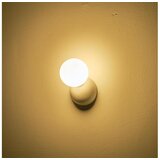  Zidna svetiljka TERPSI 1xG9/25W/230V bela | Eponuda.com