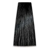 Prosalon Farba za kosu COLORART - Crna 1/0 100g Cijene