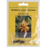 TROPICA Zlata lotusova banana | Shoptok.si