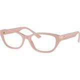 Jimmy Choo Naočare JC 3015 5014 | ePonuda.com