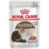 Royal Canin Ageing +12 u želeu - 24 x 85 g