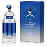 The Spirit of Dubai Aamal Métallique Eau de Parfum 90 ml | shoptok.hr