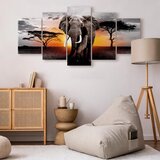  Slika - Elephant at Sunset 100x50 Akustična | shoptok.hr