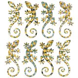 Signes Grimalt Gušter 8U Višebojna | shoptok.hr