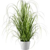 Modern Living Šop Trave Patrick | Shoptok.si