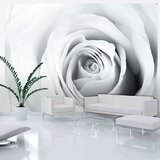  Tapeta - Rose charade 150x105 Cijene