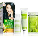Garnier color Naturals Cr&eacute;me trajna i sjajna boja za kosu 40 ml nijansa 2,10 Blueberry Black cijene