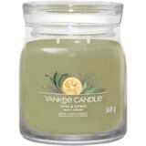 Yankee Candle Signature Jar dišeča sveča Sage & Citrus - Medium | Shoptok.si