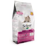 Schesir cat kitten piletina 0.4kg hrana za mačke Cene