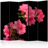  Paravan u 5 dijelova - Azalea in Black II [Room Dividers] 225x172 Cijene
