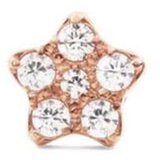 Daniel Wellington dw00400854 micro crystal star earring Cene