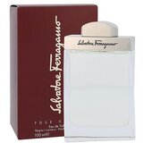 Salvatore Ferragamo pour Homme toaletna voda 100 ml za muškarce Cijene