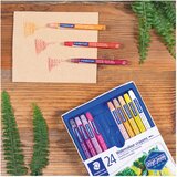  Boje voštane akvarel 12boja design journey staedtler 223 c12 blister | shoptok.hr