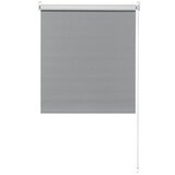 EXPO AMBIENTE Rolo (Š x V: 100 x 190 cm, Sive boje) Cijene