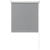 EXPO AMBIENTE Zatemnitveni rolo (Š x V: 100 x 190 cm, Sive barve, Univerzalen) | Shoptok.si