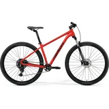 BIG.NINE 80 DARK RACE RED brdski bicikl (MY25) - M(17)