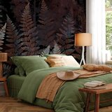  Foto tapeta - Ferns in the Woods - Third Variant 200x140 | shoptok.hr