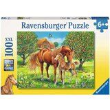 Ravensburger puzzle - Konji u divljini - 100 delova Cene