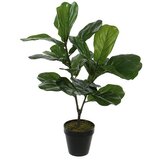  1040426 Cvet u saksiji ficus lyrata 75cm - green - edl ( 040432 ) Cene