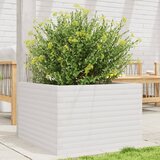 Maison Chic Vrtno cvetlično korito - Cvetlični Lonec belo 70x70x45,5 cm trdna borovina, (21788955) | Shoptok.si