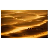  Tapeta - Caravan of camels 450x270 | shoptok.hr