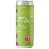 naravna energijska pijača brusnica 330 ml