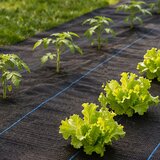 Multi Garden crna UV-otporna tkanina protiv korova 90 g/m², 1,1 × 50 m, s klinovima | shoptok.hr