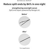 Aveda Botanical Repair™ Strengthening Overnight Serum nočni obnovitveni serum za lase 100 ml | Shoptok.si