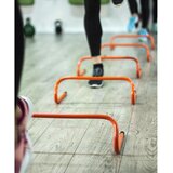 Kineta Prepona 45 cm | Shoptok.si