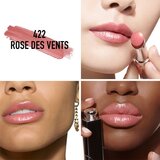 Dior Addict Refill sjajilo za usne zamjensko punjenje nijansa 422 Rose des Vents 3,2 g | shoptok.hr