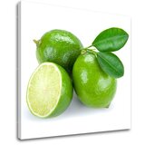  Slike na platnu kuhinja (moderne slike na platnu) | ePonuda.com