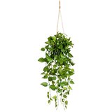 Modern Living Umetna Rastlina Philodendron Ii -Paz- -Ext- | Shoptok.si