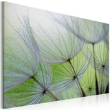  Slika - Dandelion in the wind 60x40 Cijene