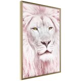  Poster - Dreamy Lion 30x45 Cijene