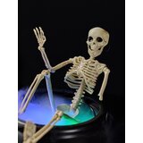Sinsay LED Halloween dekoracija - kostur u kotlu | shoptok.hr