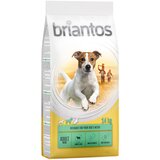 briantos Adult Mini janjetina i riža - 14 kg | shoptok.hr