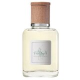 Polo Ralph Lauren Polo Earth toaletna voda za ponovno polnjenje 40 ml unisex | Shoptok.si