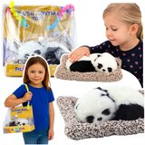 Panda koja spava na jastuku - crno/bijela | Shoptok.si