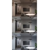  Immax NEO 7134 - LED SMART prigušiva luster na sajli, u obliku slova C, LED/43W/230V, sa daljinskim upravljačem, 60 cm | Eponuda.com