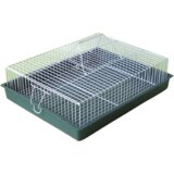 KARLOS Transporter za ptice Veliki, Zeleni | Eponuda.com