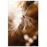  Slika - Light Rocking (1 Part) Vertical 80x120 | shoptok.hr