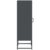 vidaXL Visoka ploča antracit 36x39x123 cm hladno valjani čelik | shoptok.hr