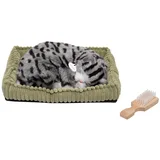 Kućni ljubimac, prugasta mačka - PP Gray Tabby, Bijeli